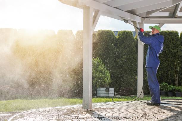 Best Gutter Cleaning  in Greenville, MI